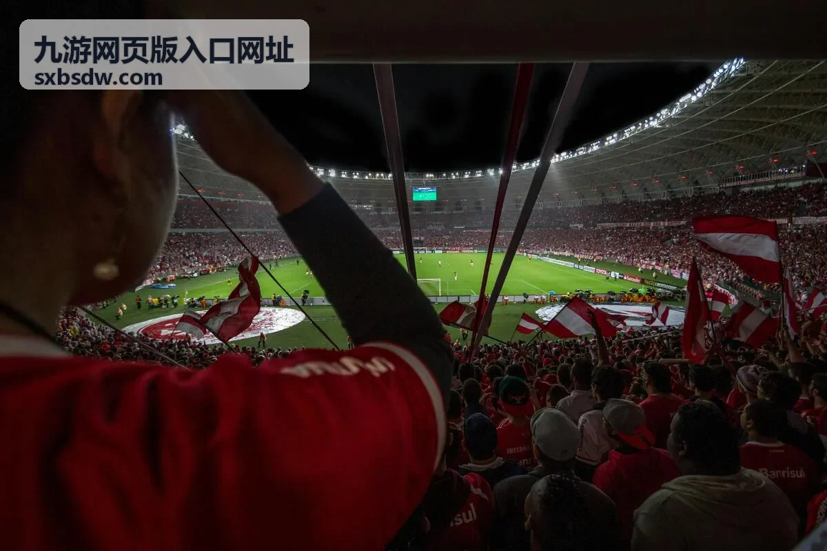 九游网页版入口网址打开前的准备事项说明图
