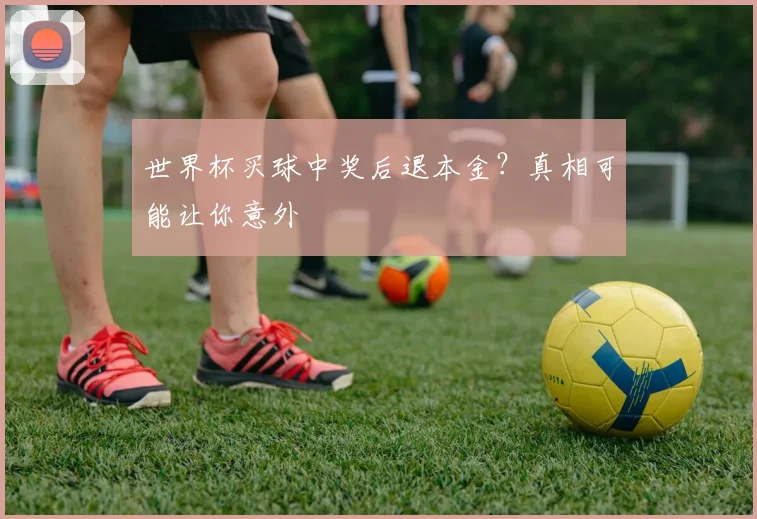 世界杯买球中奖后退本金？真相可能让你意外
